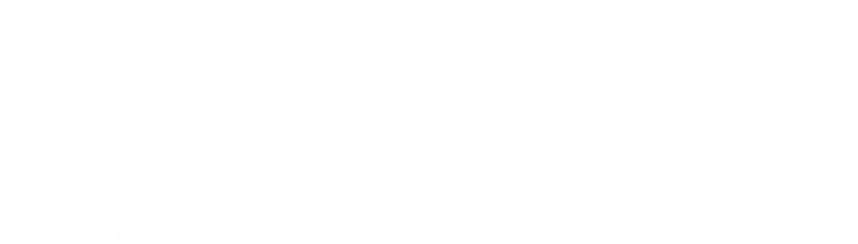 Deutscher Pflegerat